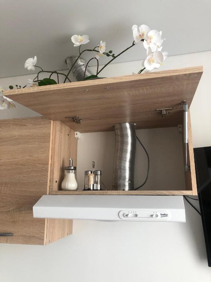 Ozas Apartment 1 And 2 빌뉴스 외부 사진