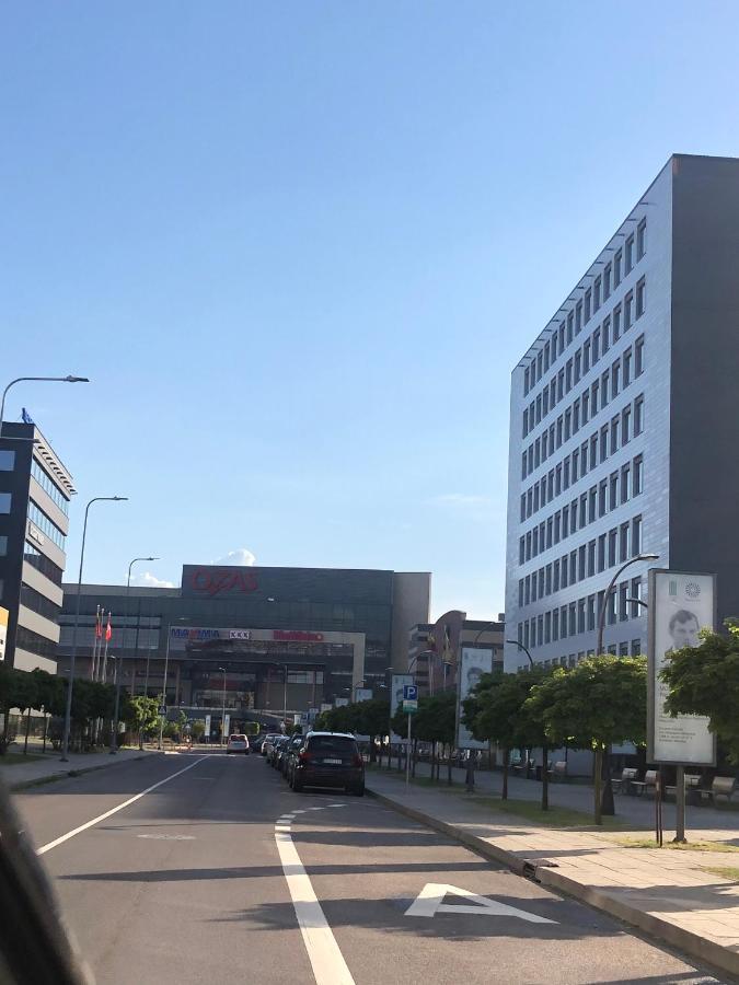 Ozas Apartment 1 And 2 빌뉴스 외부 사진