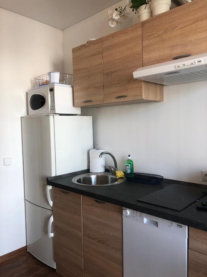 Ozas Apartment 1 And 2 빌뉴스 외부 사진